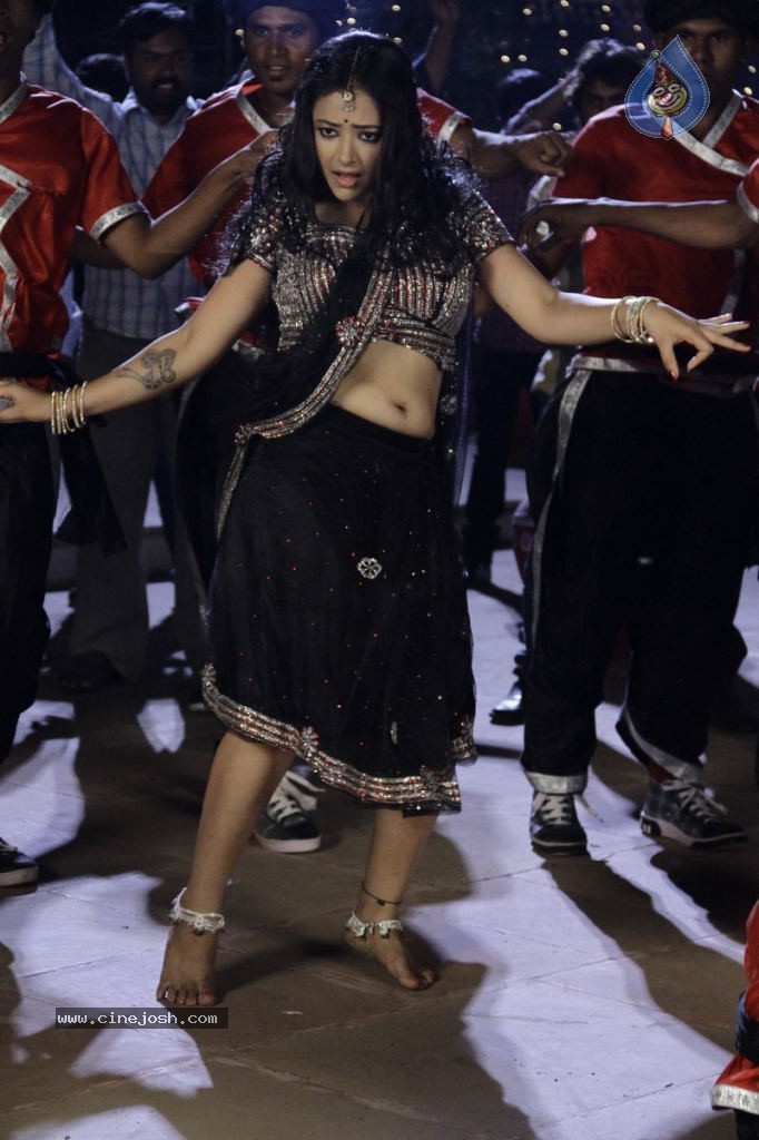Swetha Basu Prasad New Spicy Stills - 46 / 151 photos