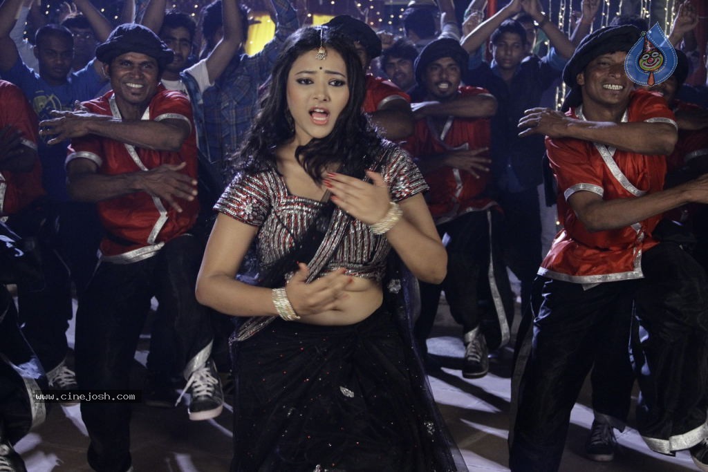 Swetha Basu Prasad New Spicy Stills - 51 / 151 photos