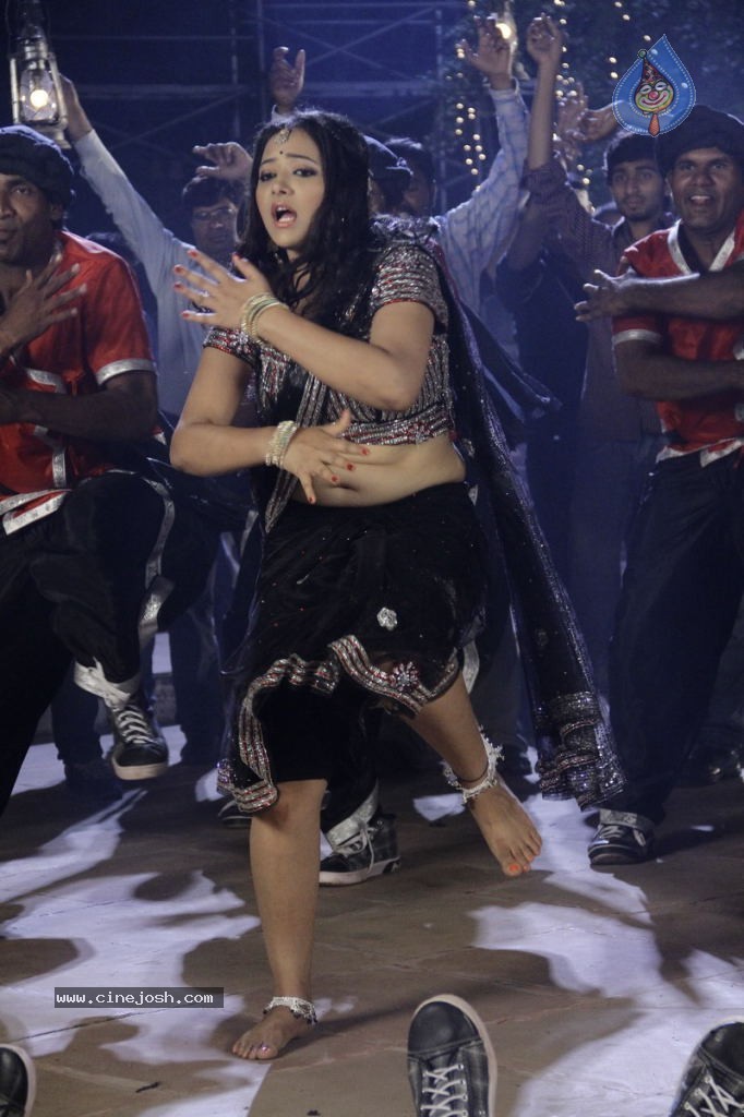 Swetha Basu Prasad New Spicy Stills - 101 / 151 photos