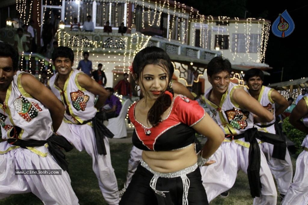 Swetha Basu Prasad Spicy Gallery - 8 / 132 photos