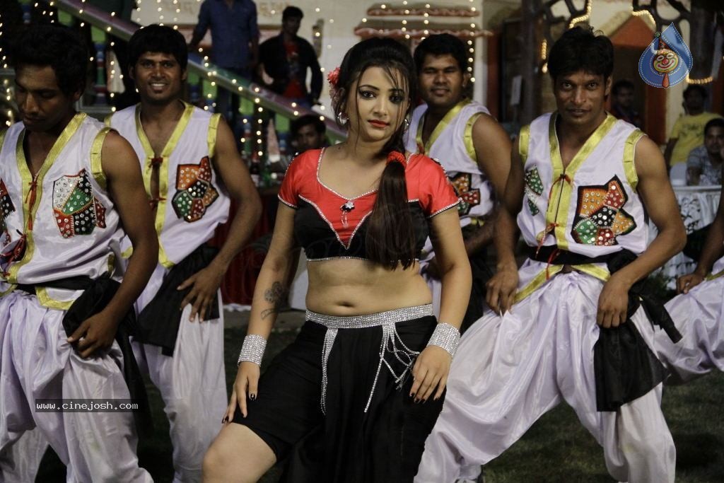 Swetha Basu Prasad Spicy Gallery - 36 / 132 photos
