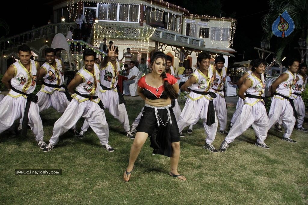 Swetha Basu Prasad Spicy Gallery - 46 / 132 photos