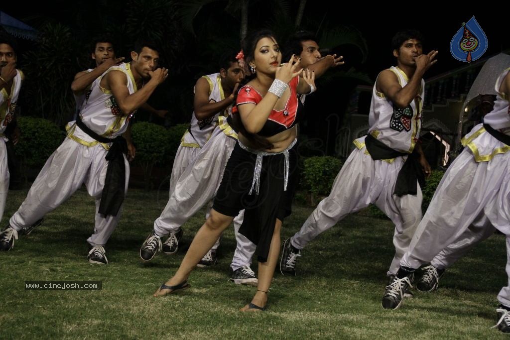 Swetha Basu Prasad Spicy Gallery - 70 / 132 photos