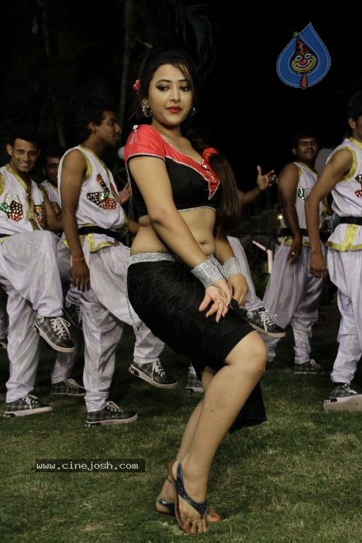 Swetha Basu Prasad Spicy Gallery - 89 / 132 photos
