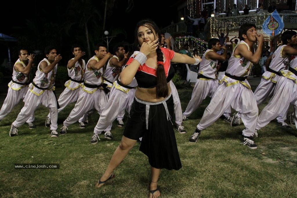 Swetha Basu Prasad Spicy Gallery - 96 / 132 photos