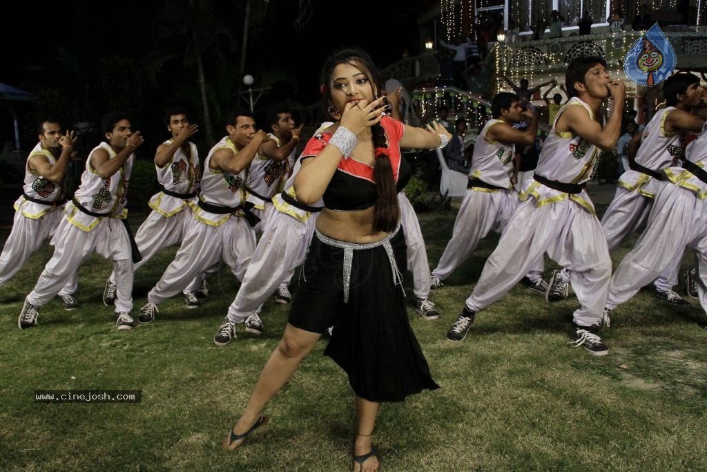 Swetha Basu Prasad Spicy Gallery - 125 / 132 photos