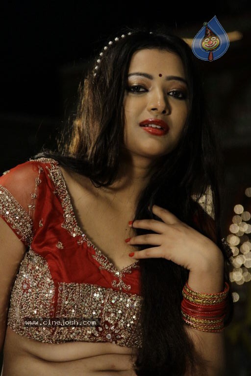 Swethabasu Prasad Spicy Gallery - 27 / 185 photos