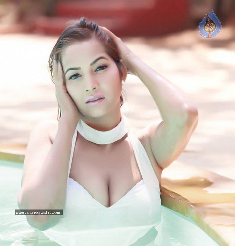 Tanisha Singh Hot Photo Shoot - 13 / 19 photos