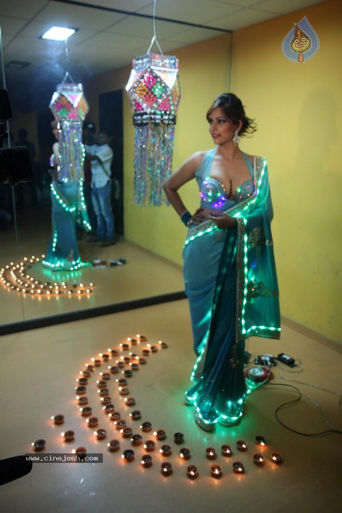 Tanisha Singh Special Diwali 2013 Photo Shoot - 27 / 30 photos