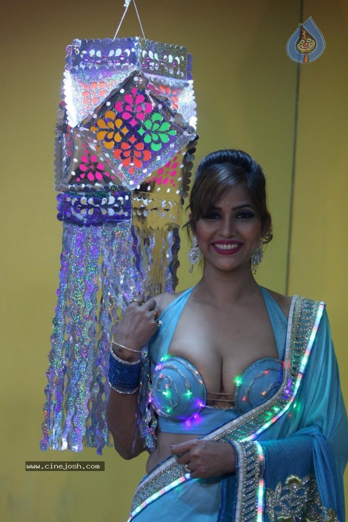 Tanisha Singh Special Diwali 2013 Photo Shoot - 30 / 30 photos