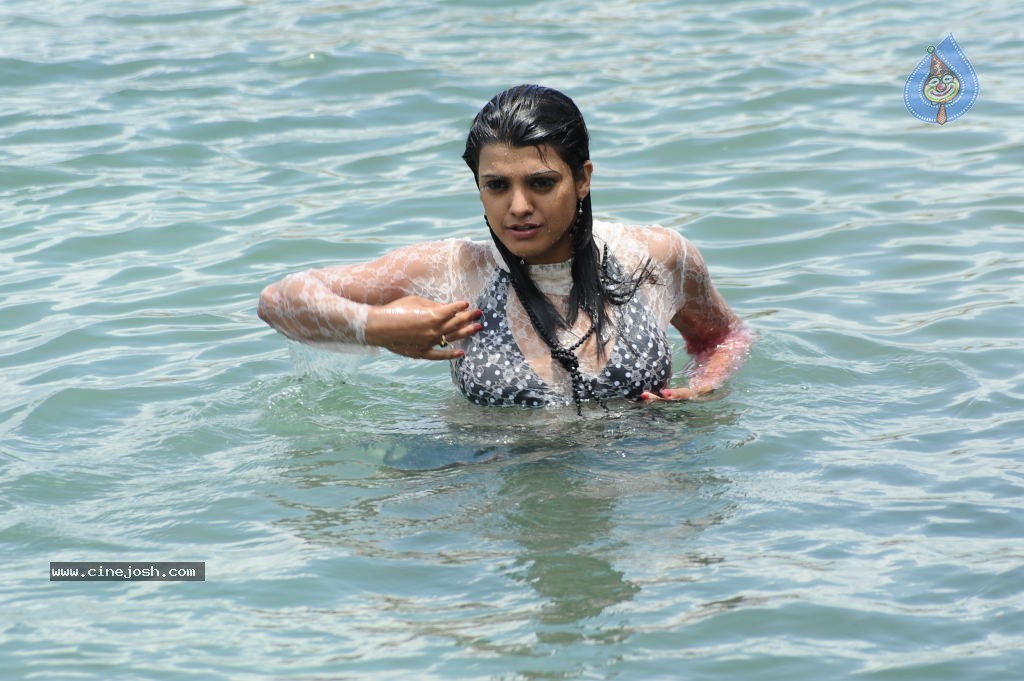 Tashu Kaushik Hot Gallery - 35 / 77 photos