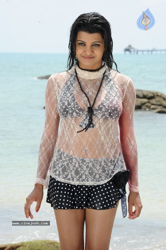 Tashu Kaushik Hot Gallery - 53 / 77 photos