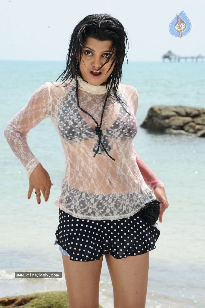 Tashu Kaushik Hot Gallery - 60 / 77 photos