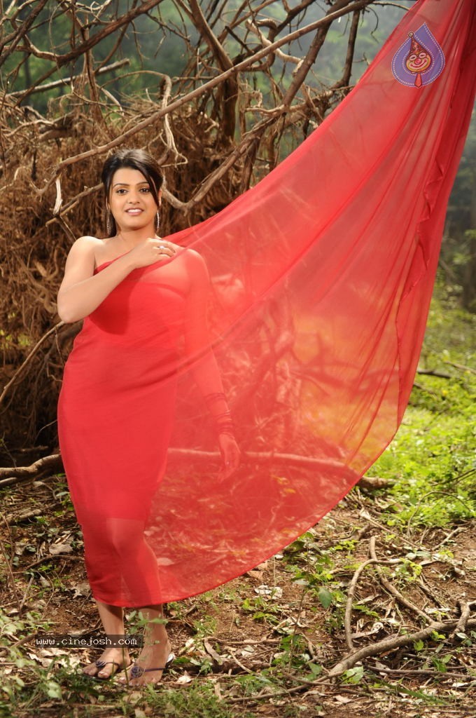 Tashu Kaushik Hot Photos - 73 / 88 photos