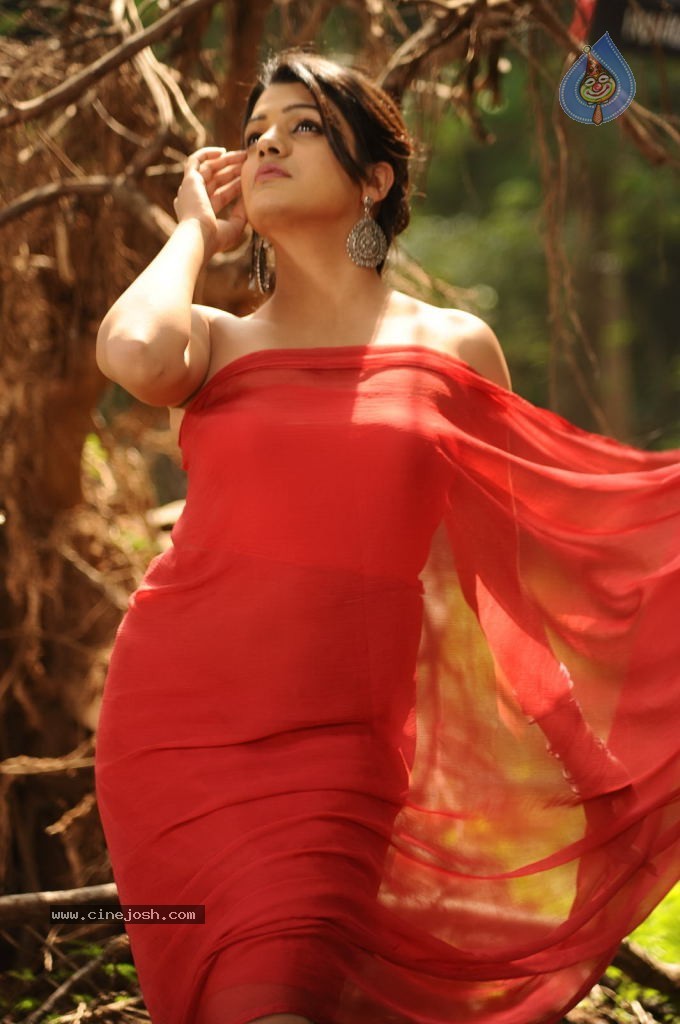 Tashu Kaushik Hot Photos - 77 / 88 photos
