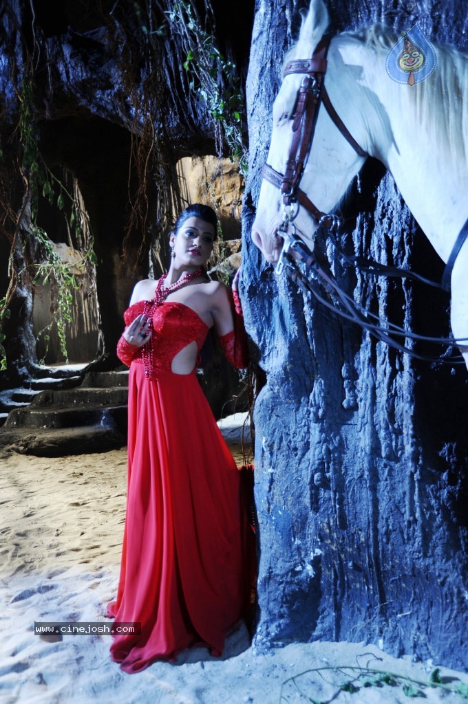 Tashu Kaushik New Spicy Gallery - 30 / 51 photos