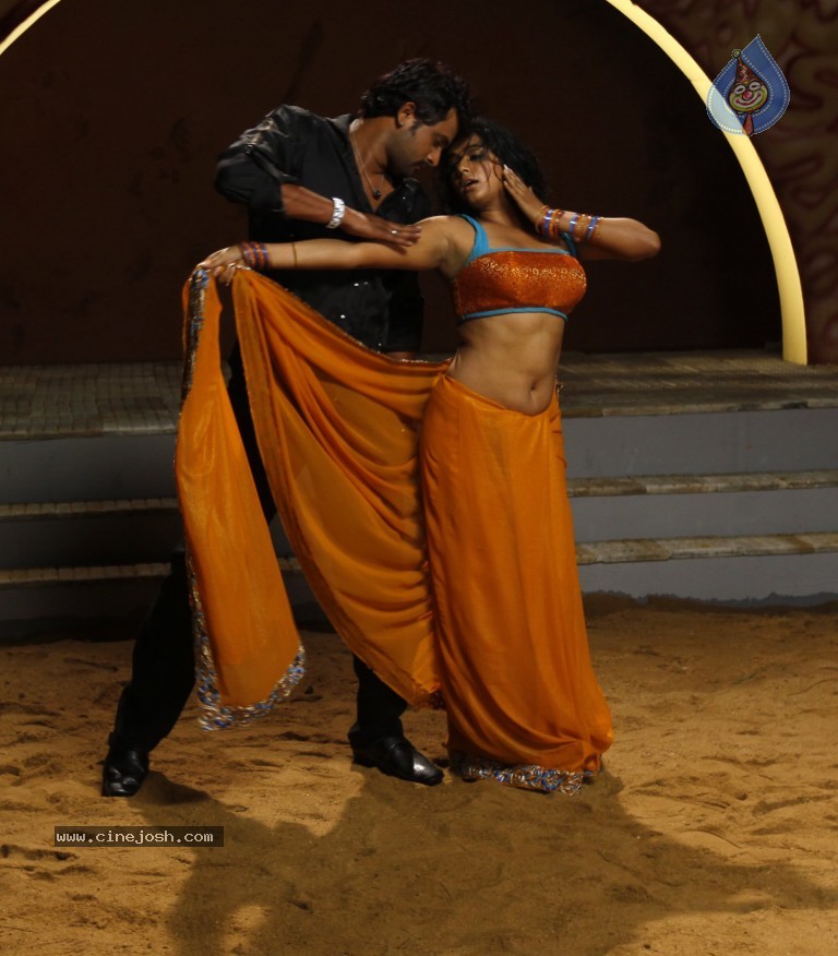 Tikka Movie Spicy Photos - 2 / 14 photos