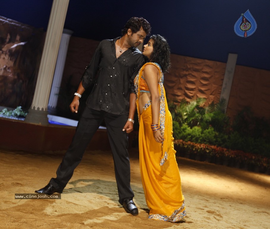 Tikka Movie Spicy Photos - 11 / 14 photos
