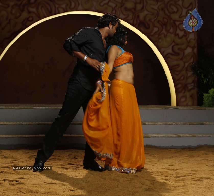 Tikka Movie Spicy Photos - 13 / 14 photos