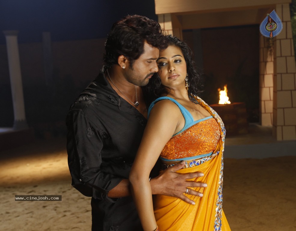Tikka Movie Spicy Photos - 14 / 14 photos