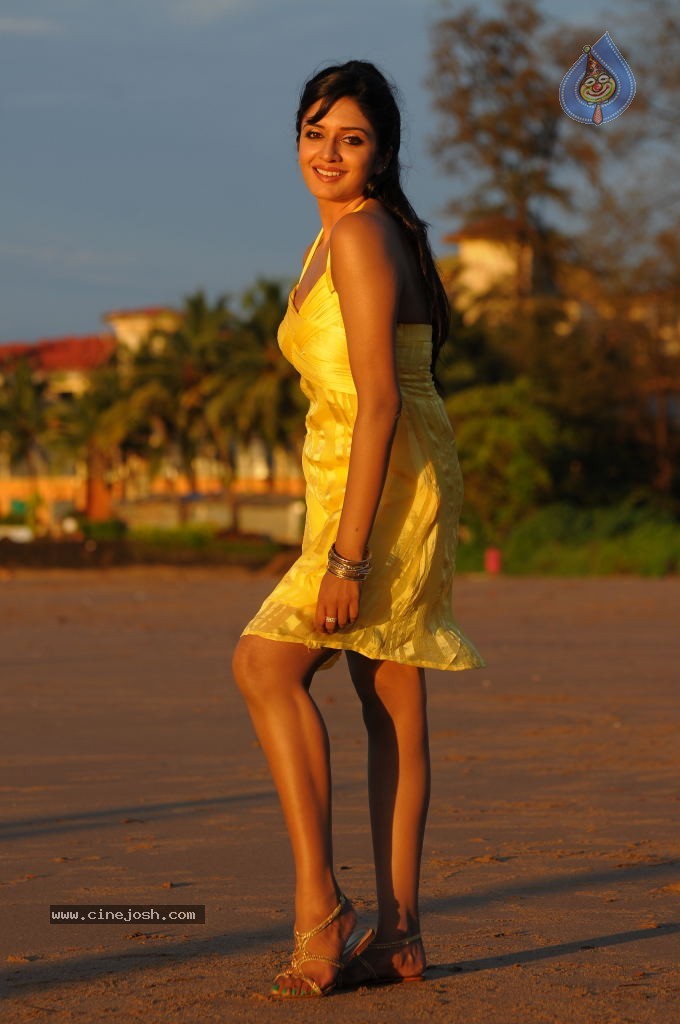 Vimala Raman Spicy Stills in Raaj Movie - 16 / 19 photos