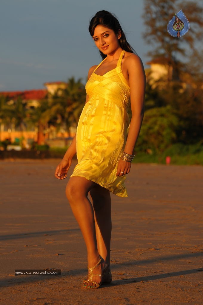 Vimala Raman Spicy Stills in Raaj Movie - 19 / 19 photos