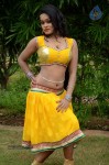 Actress Nisha Hot Stills - 59 of 86