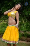 Actress Nisha Hot Stills - 34 of 86