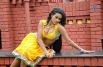 Actress Nisha Hot Stills - 47 of 86