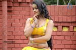 Actress Nisha Hot Stills - 59 of 86