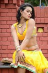 Actress Nisha Hot Stills - 64 of 86