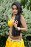 Actress Nisha Hot Stills - 85 of 86