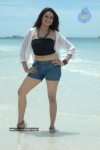 Aditi Agarwal Spicy Stills - 9 of 66