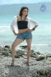 Aditi Agarwal Spicy Stills - 19 of 66
