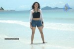 Aditi Agarwal Spicy Stills - 38 of 66