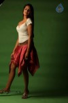 Aditi Agarwal Spicy Stills - 5 of 68