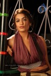 Aditi Agarwal Spicy Stills - 21 of 38