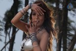 Adonica Spicy Stills - 32 of 144