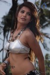 Adonica Spicy Stills - 101 of 144