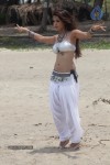 Adonika Spicy Pix - 66 of 66