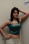 Ahana Hot Stills - 65 of 79