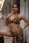 Ajantha Tamil Movie Spicy Stills - 38 of 73