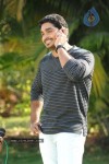 Anarkali Movie Hot Stills - 55 of 88