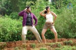 Anarkali Movie Hot Stills - 46 of 88