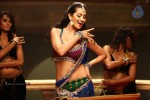 Anjali Lavania Spicy Gallery - 98 of 85
