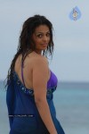 Anjana Sukhani Hot Stills - 13 of 25