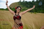 Anushka Hot Gallery - 4 of 74