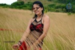 Anushka Hot Gallery - 51 of 74