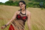 Anushka Hot Gallery - 11 of 74