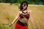Anushka Hot Gallery - 55 of 74